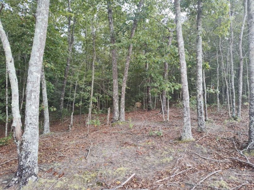 IMG_20250914_171649160