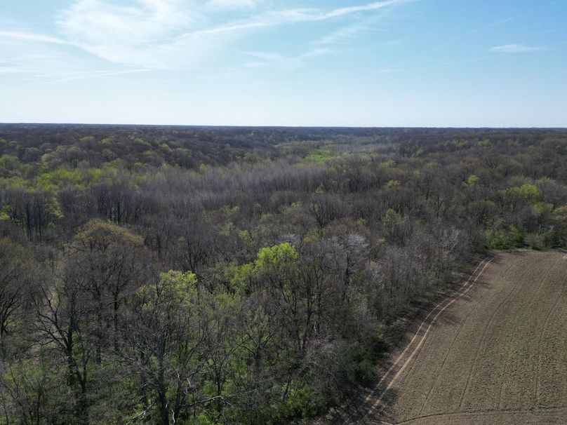 DJI_0199