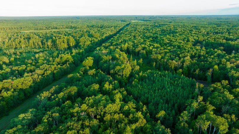 Cass MN 1095 Featured ProPhoto-60