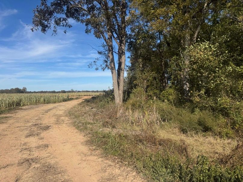 1a1 jeff 8320251111_0259