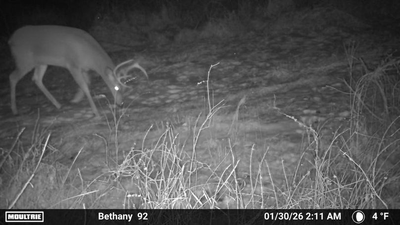 1520709-20260130161525-100MFCAM_MFDC2590