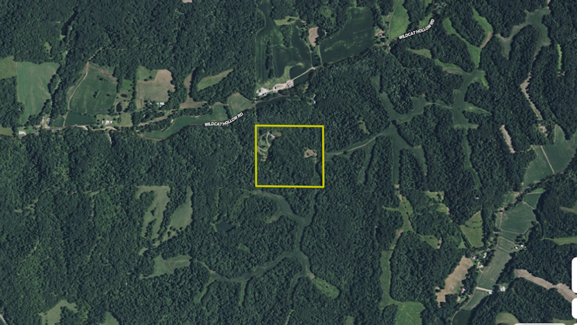 Screenshot 2025-10-08 at 9.11.31 AM