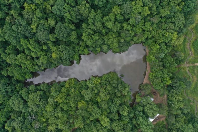 041 aerial view looking straight down on the pond at the cabin