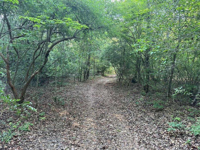 16 - trail 10