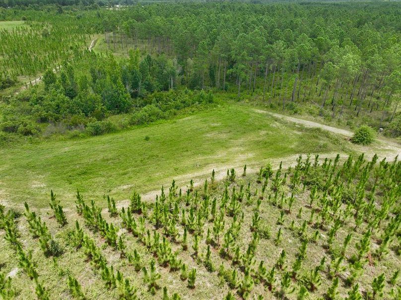 dji_fly_20240710_135842_566_1720634533939_photo