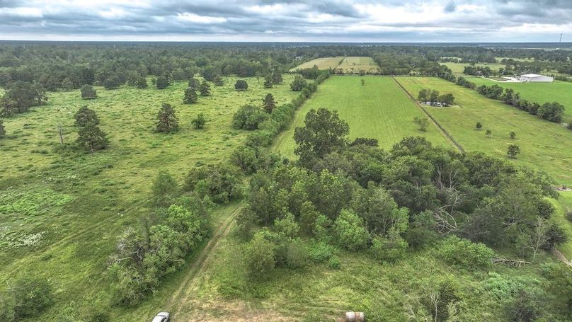 Copy of DJI_20240905124208_0229_D