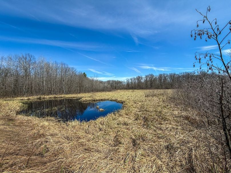 ClarK 160 WILLIAMS -57