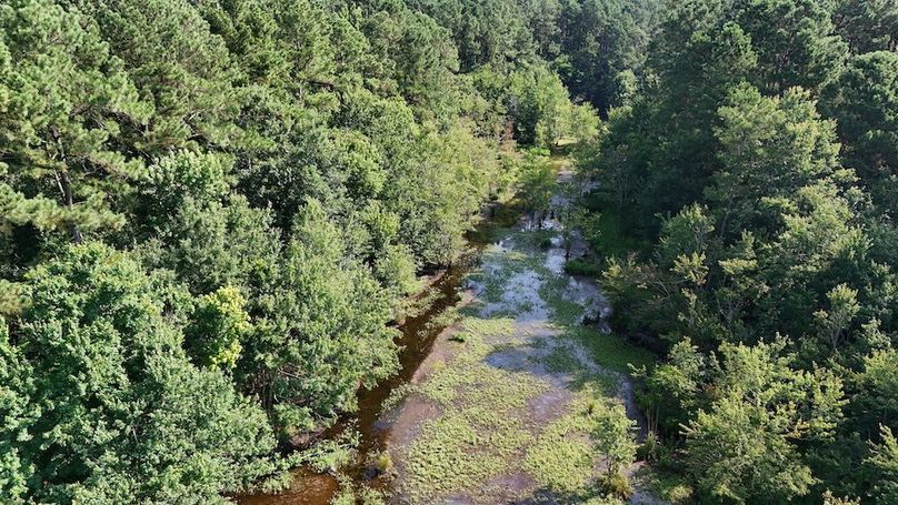 DJI_20250627095218_0103_D