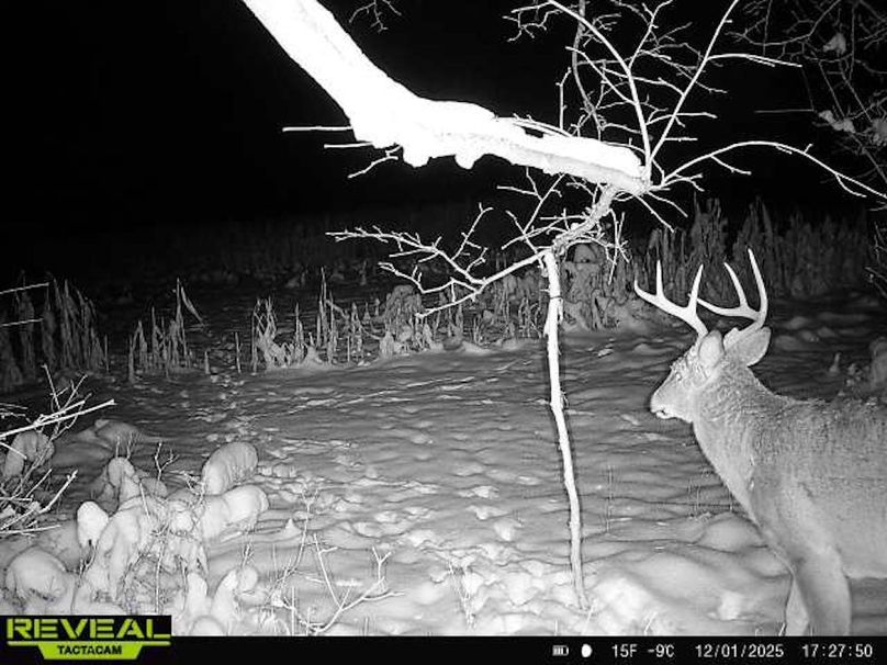 865814043293958-60-4-12012025172750-W1003421