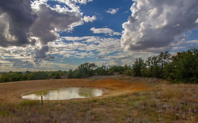 7. Livestock and wildlive pond