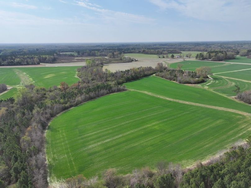 DJI_20260303064032_0563_D