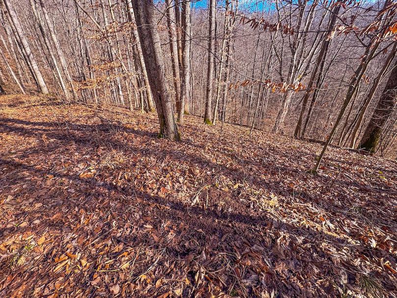 Lewis, WV 82.87 AC Barger-13