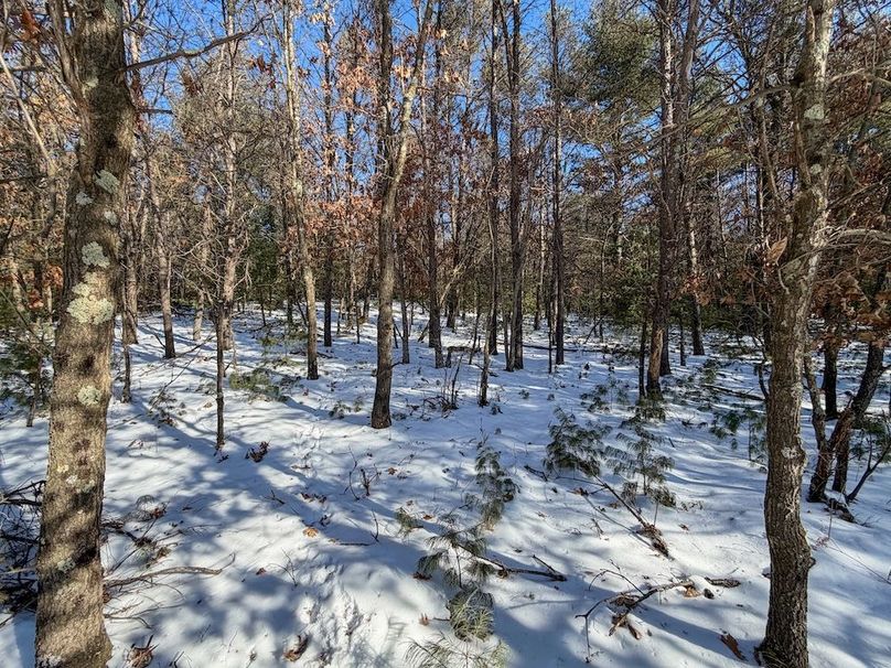 Monroe 68.2 - 83 of 120