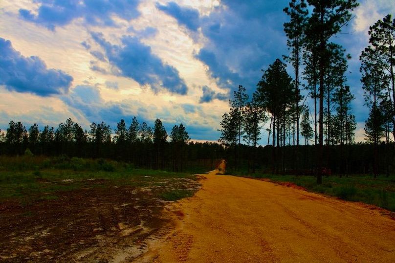 42F86B0C-F7BC-4CBB-B7DD-48D29A1F375D_1_105_c