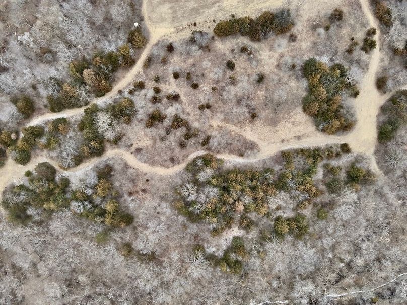 BE6DBB3A-8992-49CE-9041-7F0F7FBD9333_1_201_a