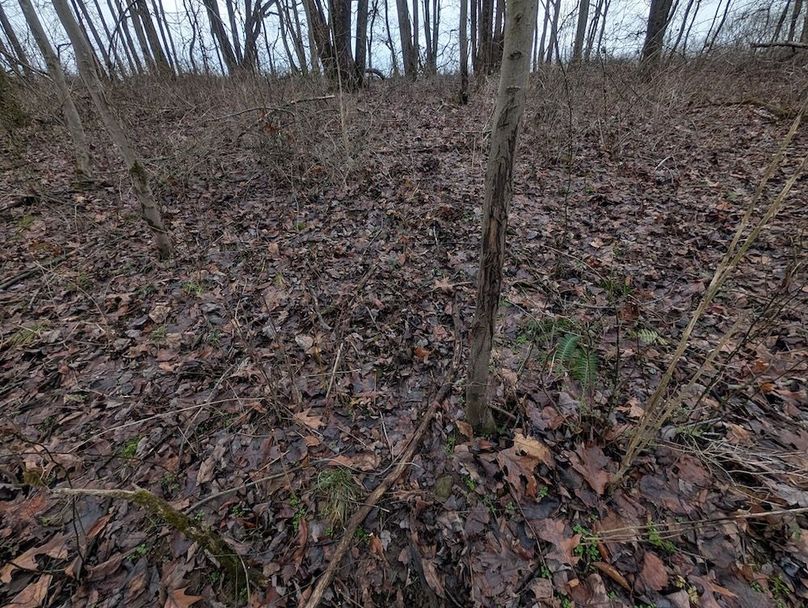 PXL_20260107_175827004