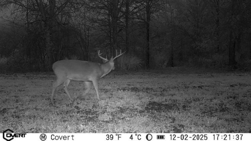 12_02_2025_17_21_37_3277484580