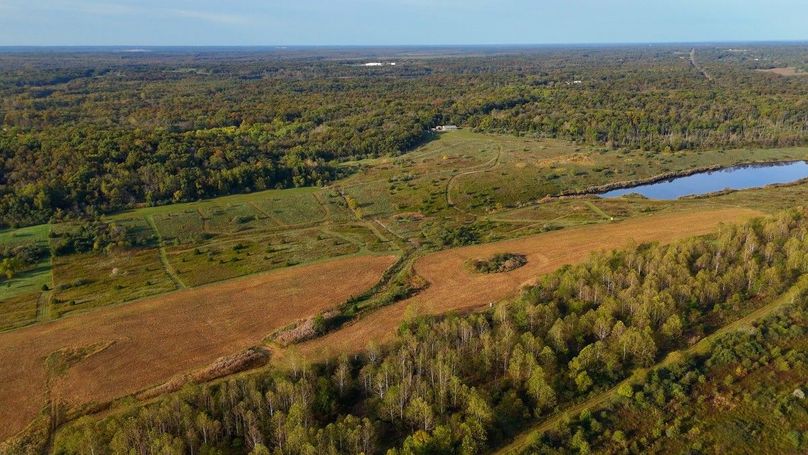 Sequence 07.00_04_58_01.Still106