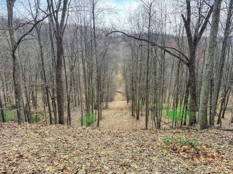 Ritchie, WV 206.08 AC Curriden-51