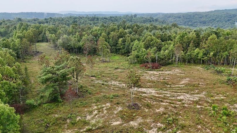 DJI_20250820180604_0090_D