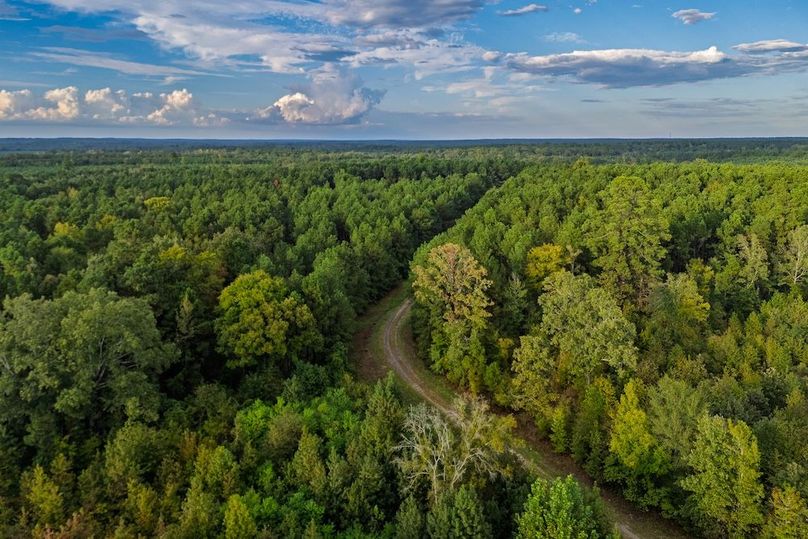 44 DJI_20251007175237_0391_D