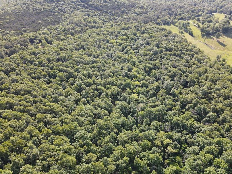 dji_fly_20260514_092730_777_1778769042084_photo