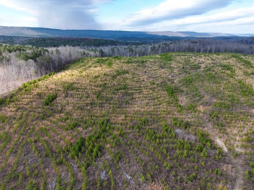 DJI_20260303144408_0006_V