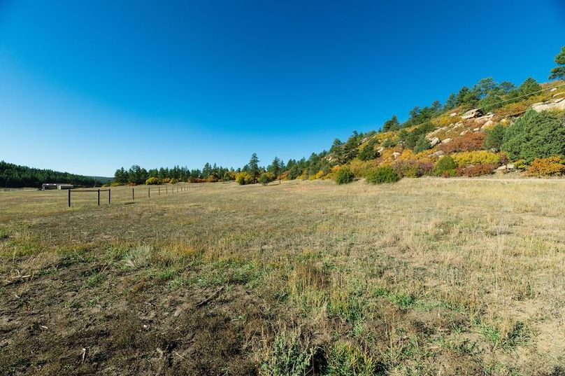 RBH_5403