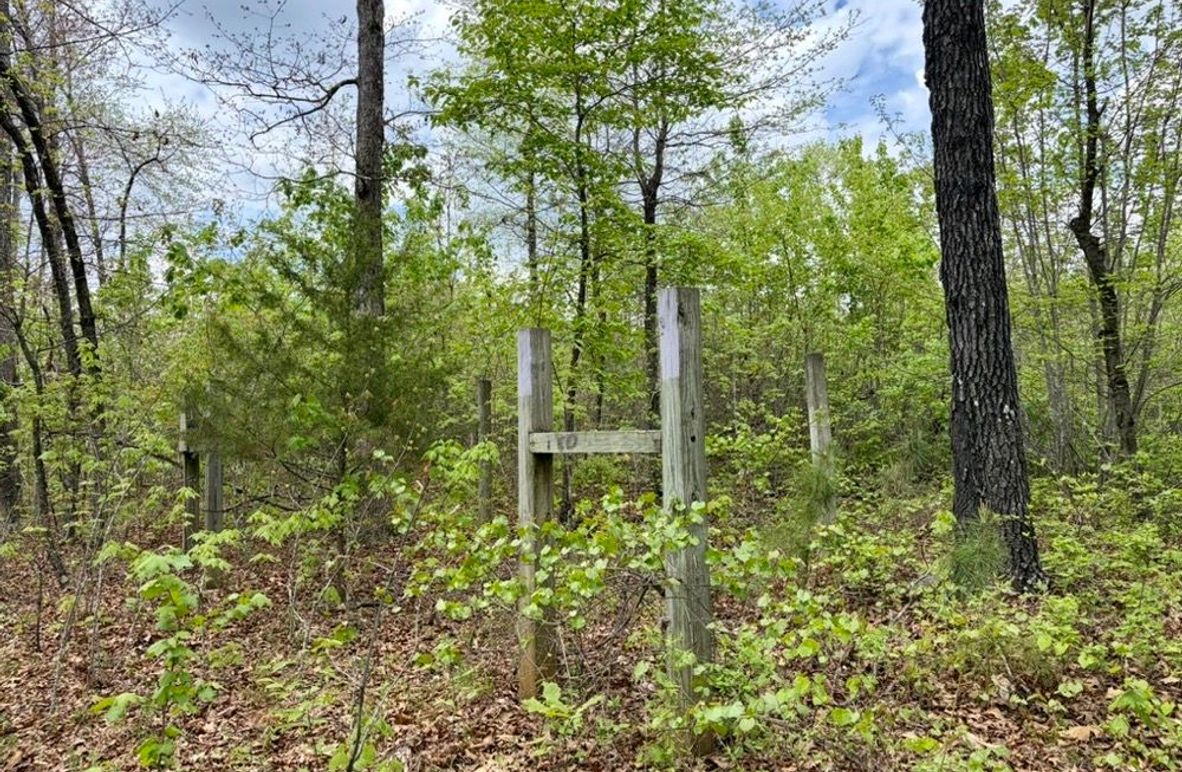 3ED4774A-98AE-459B-8B48-7B2FCC55BB20_1_105_c-2