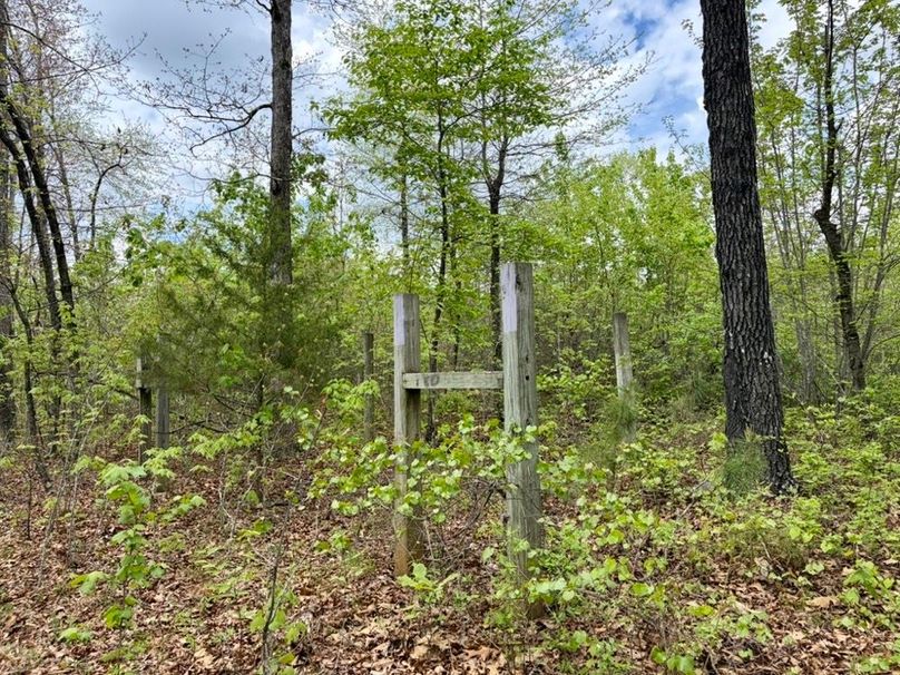 3ED4774A-98AE-459B-8B48-7B2FCC55BB20_1_105_c-2