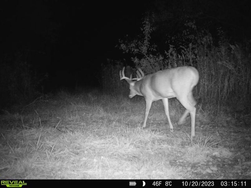 860322065128164-1-3-10202023031510-V-W1004017