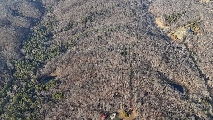 DJI_20251209150547_0677_D