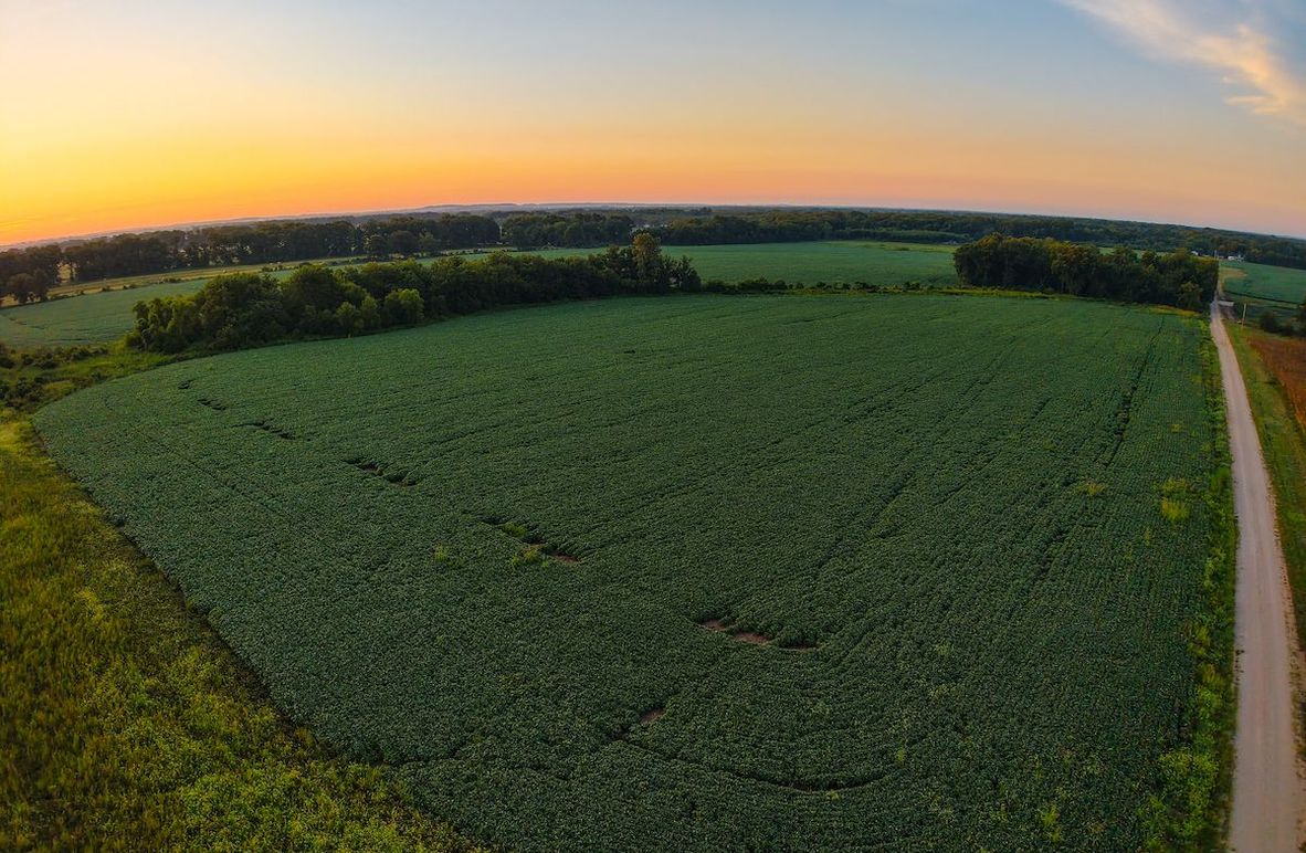 DJI_20250823064844_0871_D