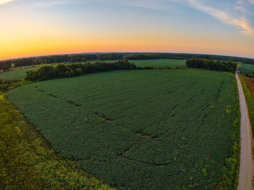 DJI_20250823064844_0871_D