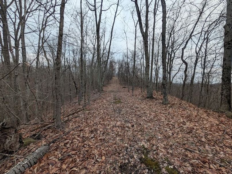 PXL_20260107_214856152.MP