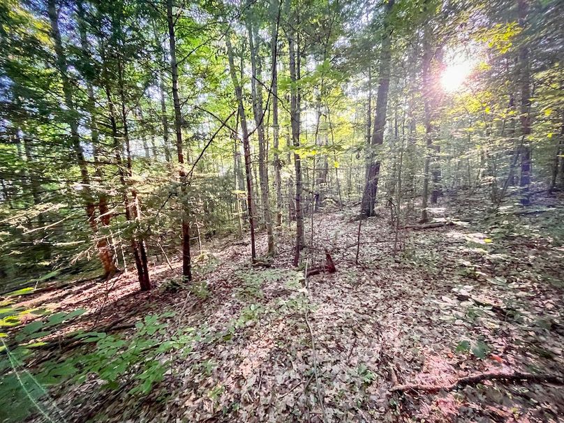 Tioga_82.5_Williams_Photos_25