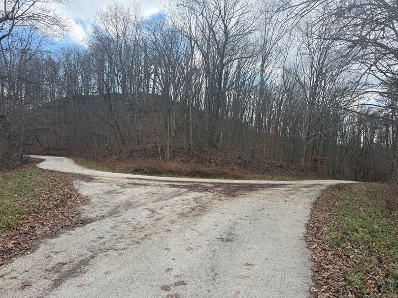 008 junction of Red_s Hollow Road and Halls Hill Road