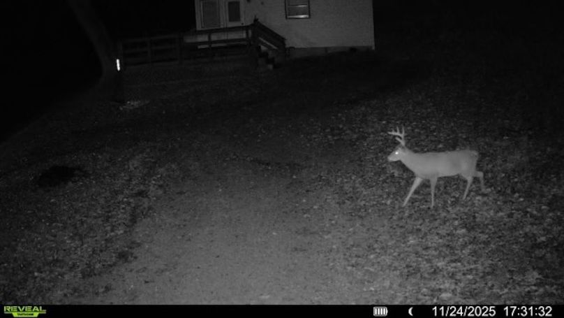 5183A849-DBE0-43AD-8C6D-553B7B4042B7_4_5005_c