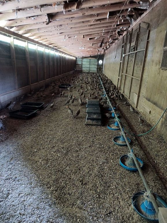 IMG_20250719_101104035