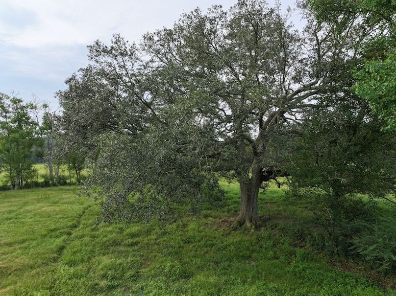 dji_fly_20250730_082928_0305_1753888802822_photo