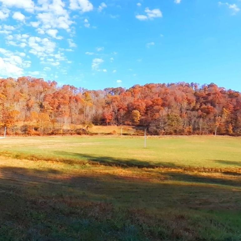 074 the array of colors here are something to behold