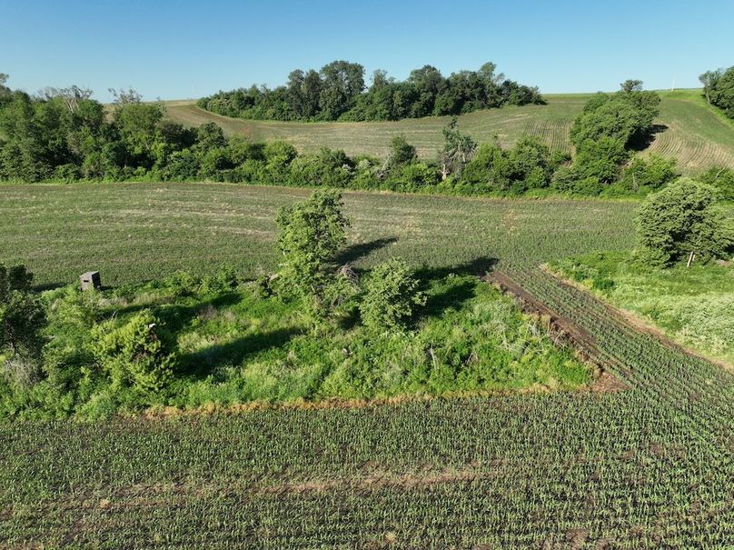 dji_fly_20260601_075918_518_1780319390835_photo