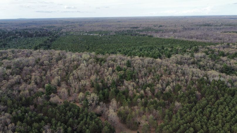 dji_fly_20230509_171808_409_1683724285506_photo_optimized