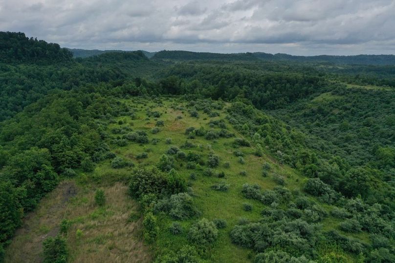 017 low elevation aerial drone shot in the middle area of the property looking north