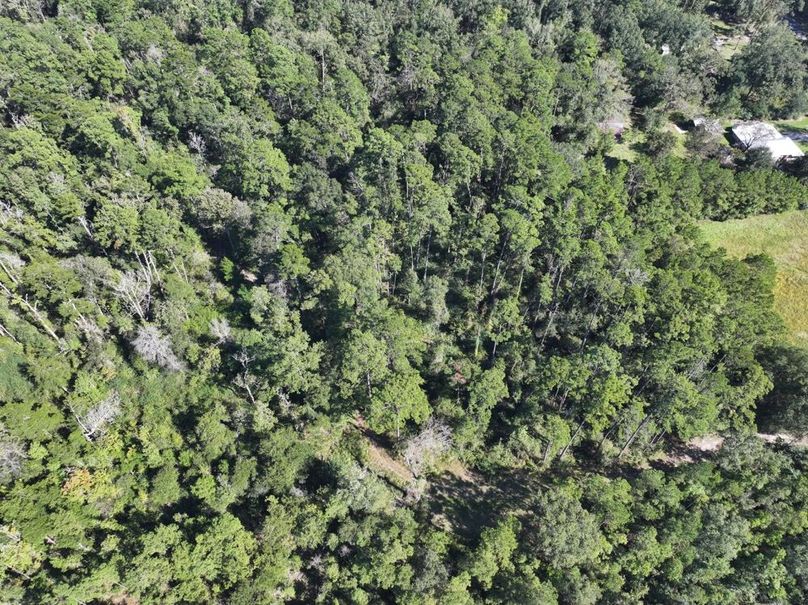 dji_fly_20251014_150446_0673_1760473192465_photo