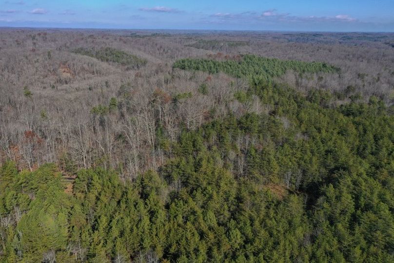 007 what a beautiful view into the gateway of thousands of acres of National Forest to explore