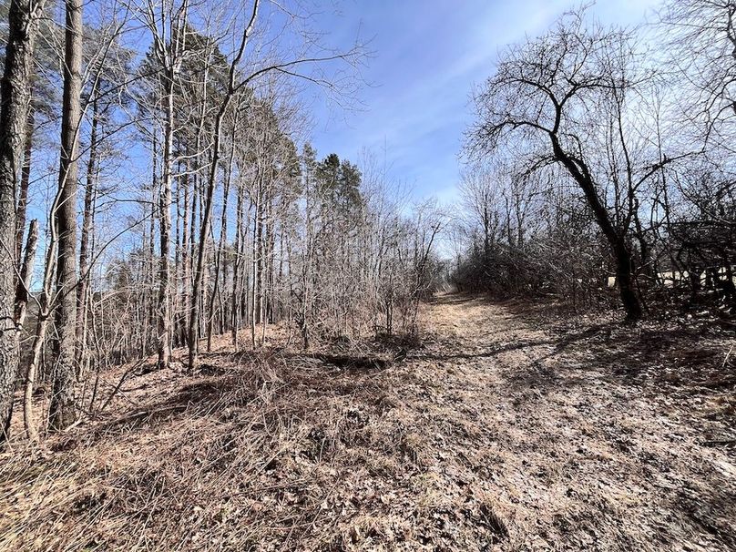 Lewis_26_Somberg Photo 49