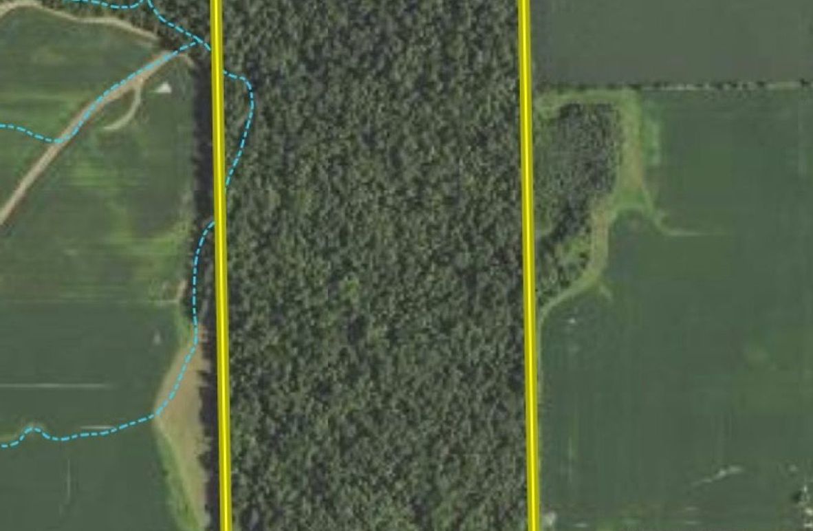 Screen Shot 2023-04-08 at 8.25.58 PM