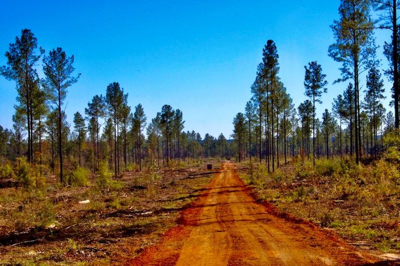 BFBFC9D1-B0EF-492F-B028-DB34C00AECFA_1_201_a