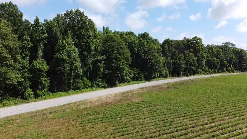 2024-06-01-10-27-44-992